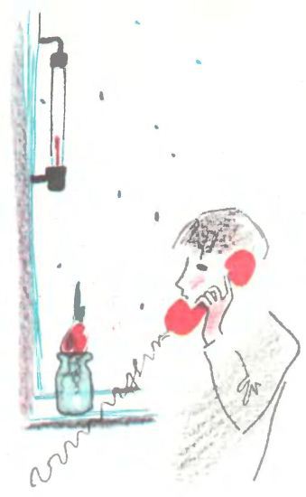 Мне на плечо сегодня села стрекоза i_027.jpg