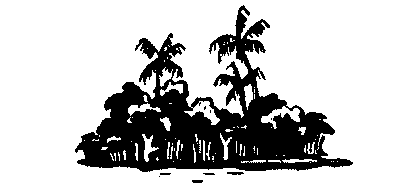 В поисках анаконды (с илл.) i_041.png