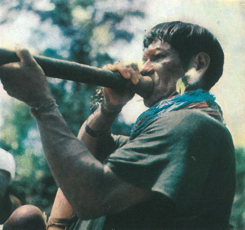 В поисках анаконды (с илл.) i_064.jpg