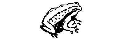В поисках анаконды (с илл.) i_069.png