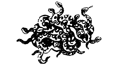 В поисках анаконды (с илл.) i_071.png