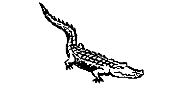 В поисках анаконды (с илл.) i_097.png