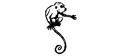 В поисках анаконды (с илл.) i_098.png