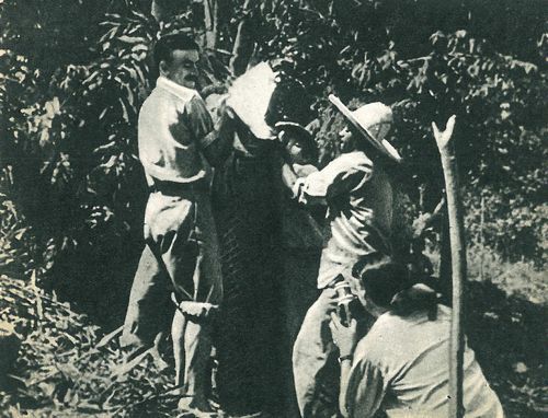 В поисках анаконды (с илл.) i_136.jpg
