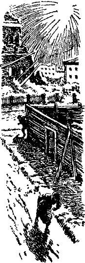 Тарантул id59712_id59740_image028.png