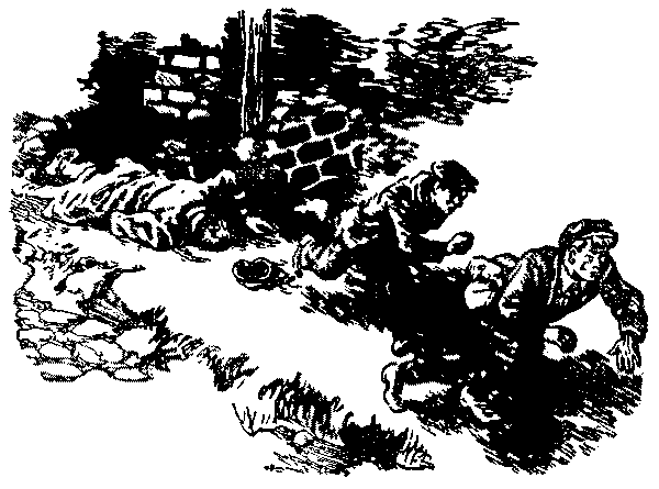 Тарантул id59717_id59736__12.png