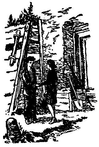 Тарантул id59717_id59736__23.png