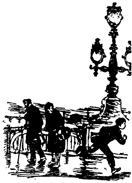 Тарантул id59717_id59736__25.png
