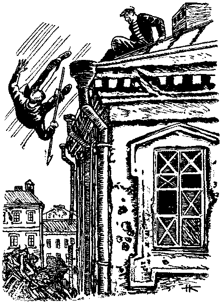 Тарантул id59717_id59736__27.png
