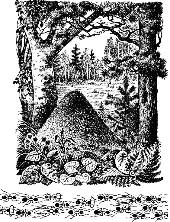 Маленькие труженики леса _000.png