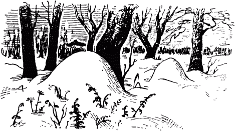 Маленькие труженики леса _003.png