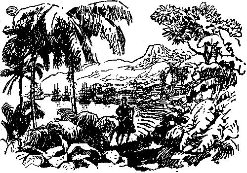 Собрание сочинений, том 6. Мароны. Всадник без головы. i_006.png