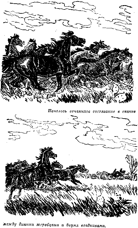 Собрание сочинений, том 6. Мароны. Всадник без головы. i_031.png