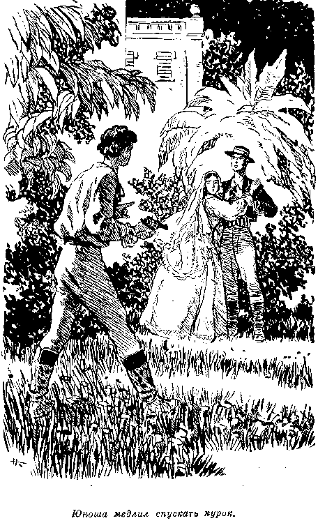 Собрание сочинений, том 6. Мароны. Всадник без головы. i_034.png