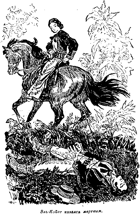 Собрание сочинений, том 6. Мароны. Всадник без головы. i_037.png