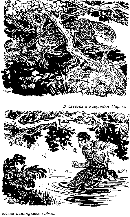 Собрание сочинений, том 6. Мароны. Всадник без головы. i_038.png