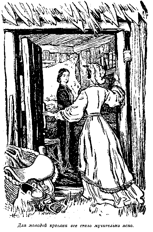Собрание сочинений, том 6. Мароны. Всадник без головы. i_040.png