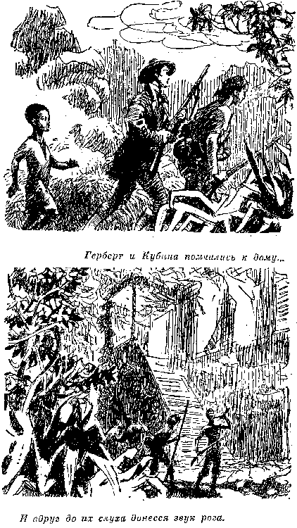 Собрание сочинений, том 6. Мароны. Всадник без головы. i_020.png