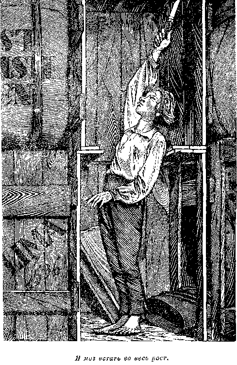 Собрание сочинений, том 2. Оцеола, вождь семинолов. Морской волчонок i_051.png