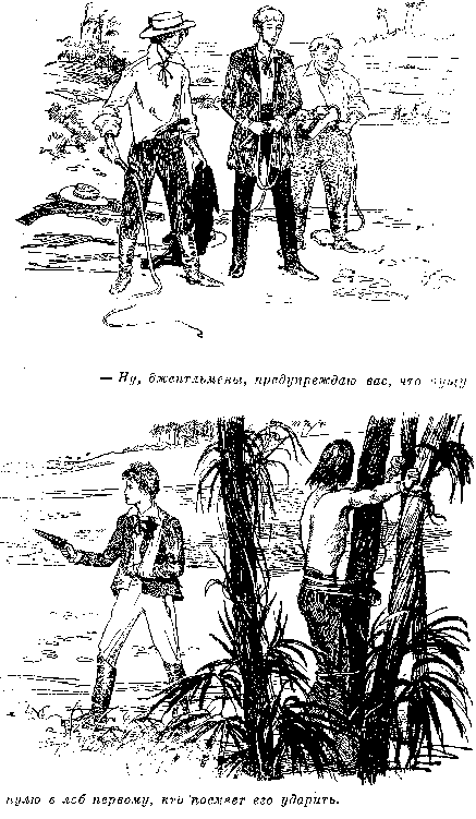 Собрание сочинений, том 2. Оцеола, вождь семинолов. Морской волчонок i_011.png