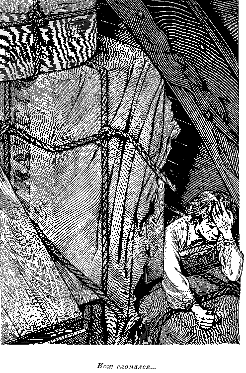 Собрание сочинений, том 2. Оцеола, вождь семинолов. Морской волчонок i_052.png