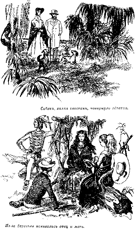 Собрание сочинений, том 2. Оцеола, вождь семинолов. Морской волчонок i_012.png