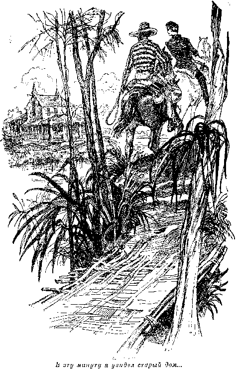 Собрание сочинений, том 2. Оцеола, вождь семинолов. Морской волчонок i_013.png