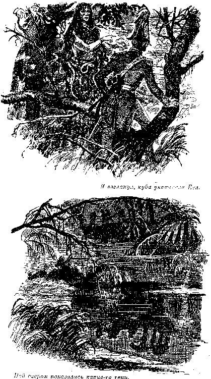 Собрание сочинений, том 2. Оцеола, вождь семинолов. Морской волчонок i_017.png
