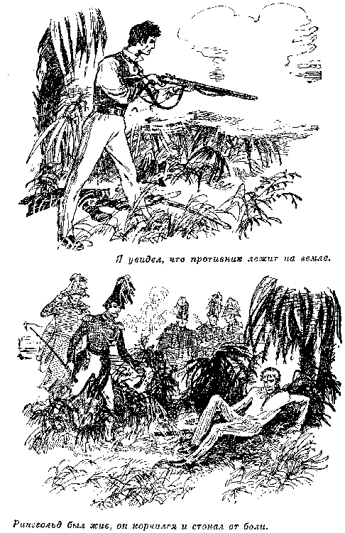 Собрание сочинений, том 2. Оцеола, вождь семинолов. Морской волчонок i_019.png