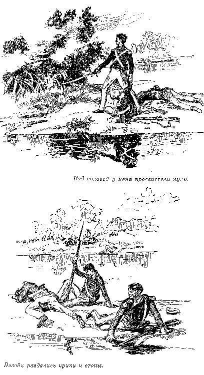 Собрание сочинений, том 2. Оцеола, вождь семинолов. Морской волчонок i_024.png