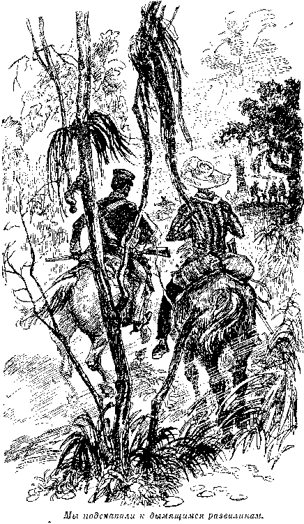 Собрание сочинений, том 2. Оцеола, вождь семинолов. Морской волчонок i_025.png