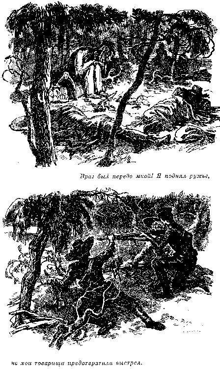 Собрание сочинений, том 2. Оцеола, вождь семинолов. Морской волчонок i_026.png