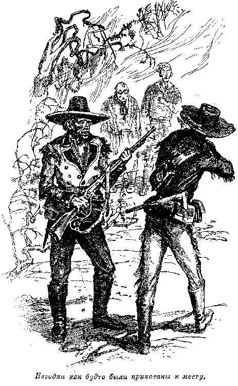 Собрание сочинений, том 2. Оцеола, вождь семинолов. Морской волчонок i_027.png