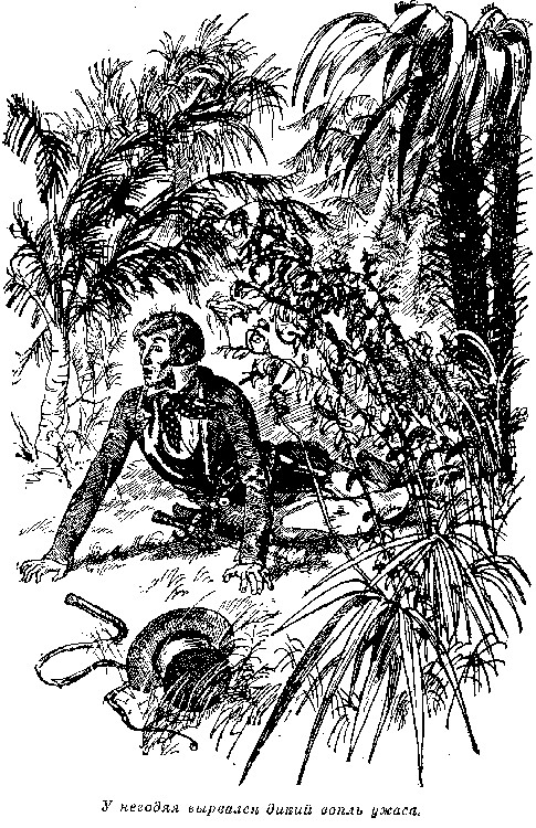 Собрание сочинений, том 2. Оцеола, вождь семинолов. Морской волчонок i_029.png