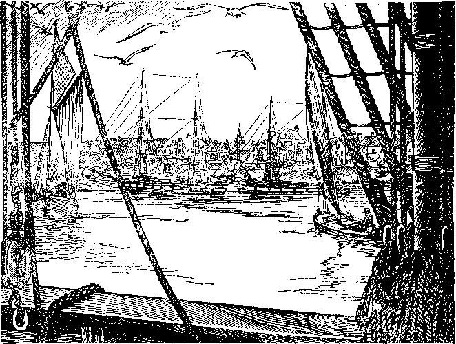 Собрание сочинений, том 2. Оцеола, вождь семинолов. Морской волчонок i_035.png