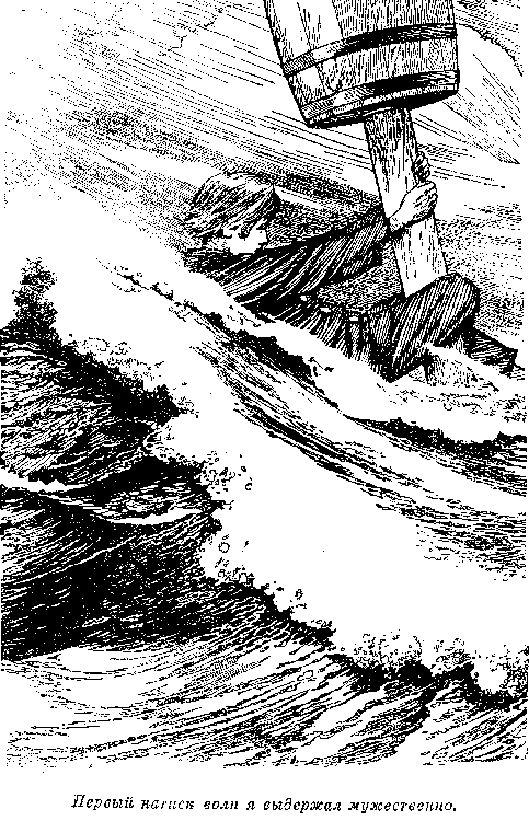 Собрание сочинений, том 2. Оцеола, вождь семинолов. Морской волчонок i_037.png