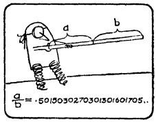 А ну-ка, догадайся! _115.jpg