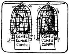 А ну-ка, догадайся! _248.jpg