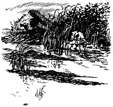 Тропой разведчика i_006.png