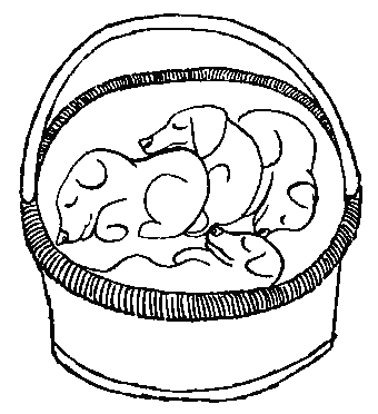 Брут i_036.png