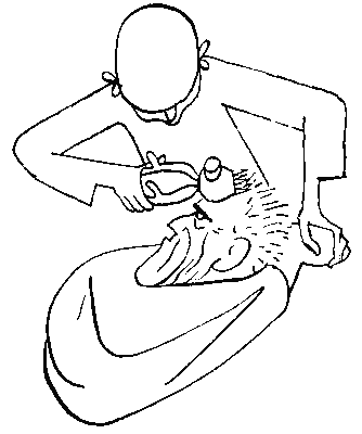 Брут i_015.png