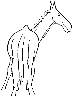 Брут i_018.png