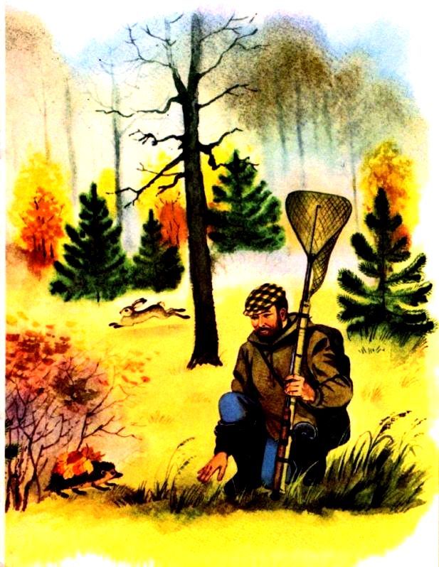 Хитрюга (с илл.) pic_3.jpg