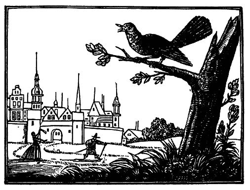 Шельмуфский pic_5.png
