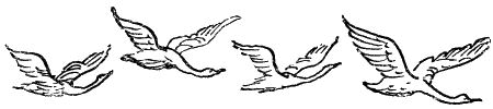 Некоторые удивительные события из жизни Бориса Пузырькова i_036.png