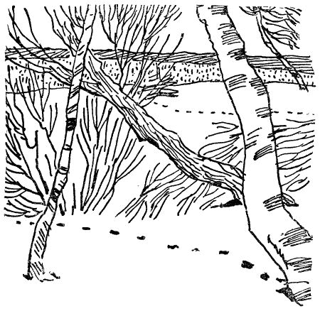 Некоторые удивительные события из жизни Бориса Пузырькова i_013.png