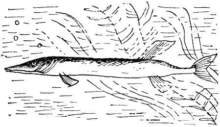 Некоторые удивительные события из жизни Бориса Пузырькова i_016.png