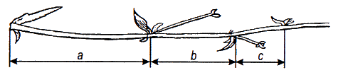 Расшифрованные космические знания i_022.png