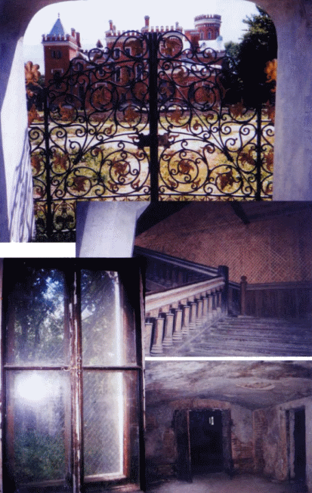 Загадочные существа i_010.png