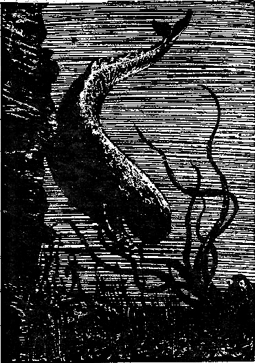 Тайна двух океанов _9.png